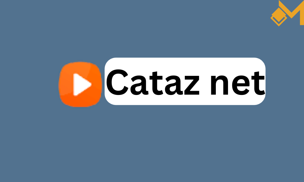Understanding Cataz net An In-Depth Analysis