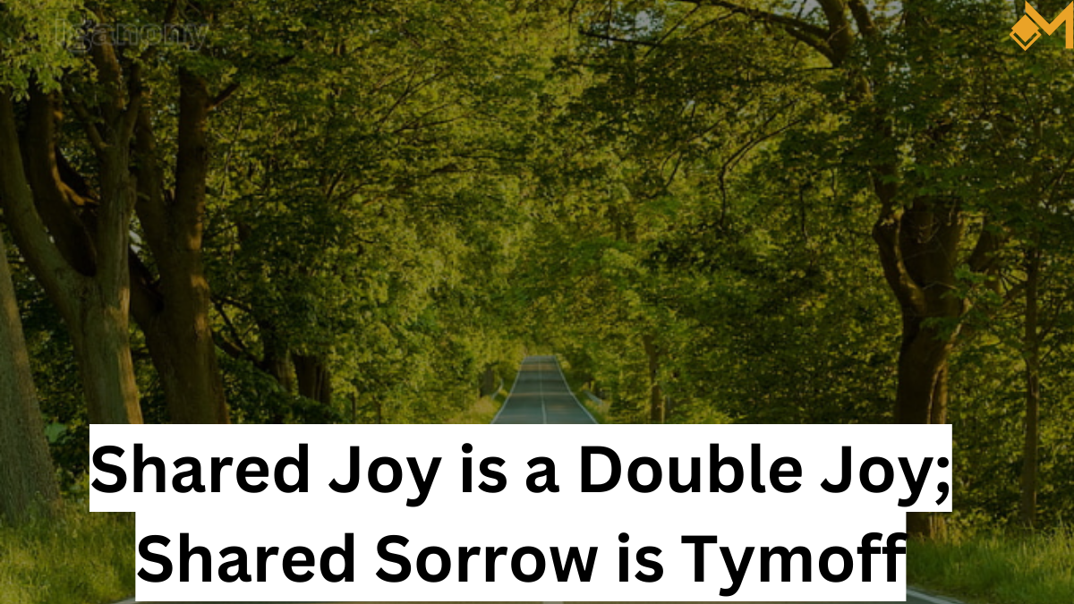 shared joy is a double joy; shared sorrow is tymoff