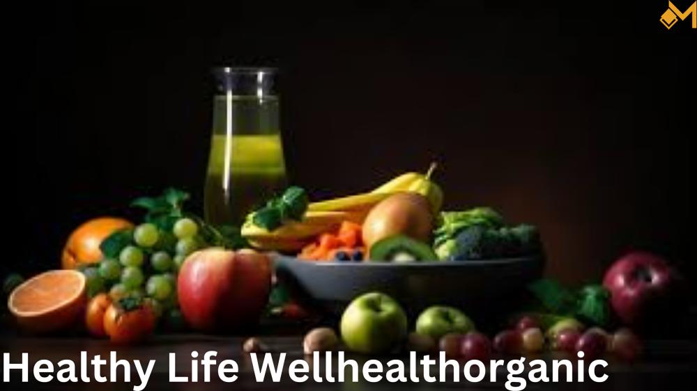 healthy life wellhealthorganic