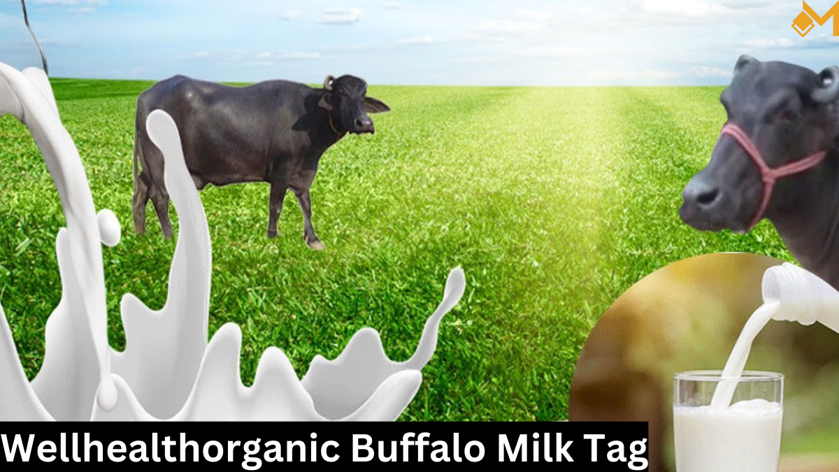 wellhealthorganic buffalo milk tag