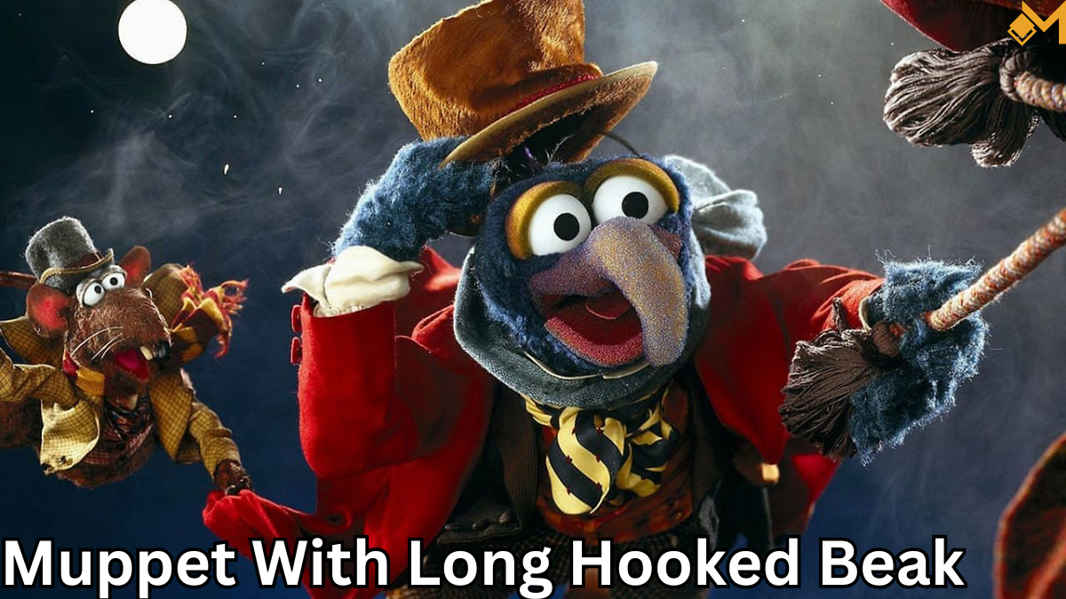 muppet with long hooked beak