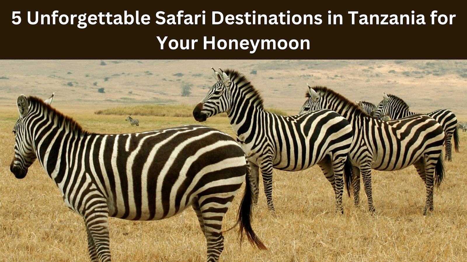 5 Unforgettable Safari Destinations in Tanzania for Your Honeymoon