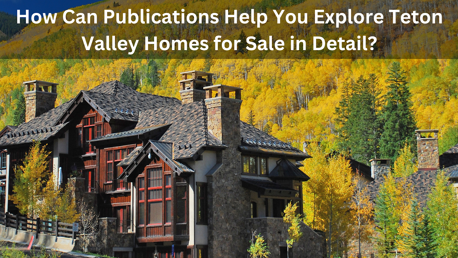 How Can Publications Help You Explore Teton Valley Homes for Sale in Detail?